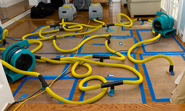 Professional Structural Drying And Dehumidification technician working in Lexington, MO